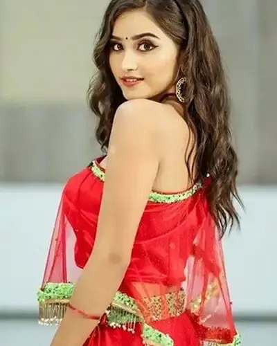 Escort In Palanpur